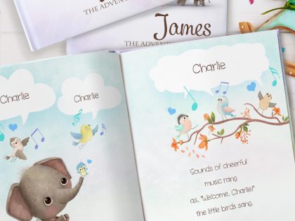 The Newborn Keepsake Book